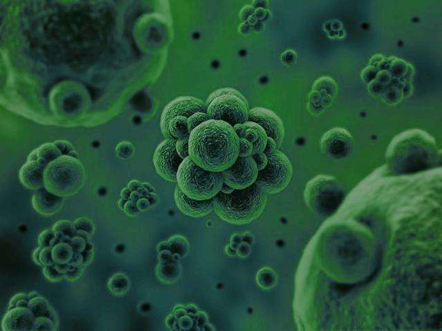 微生物是通過何種方式將廢水中的污染物分解去除掉的？
