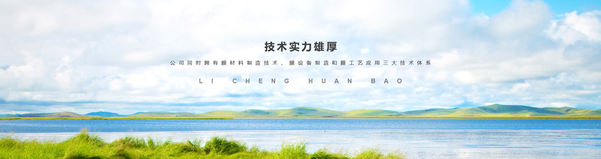 河南力誠(chéng)環(huán)?？萍加邢薰? style=