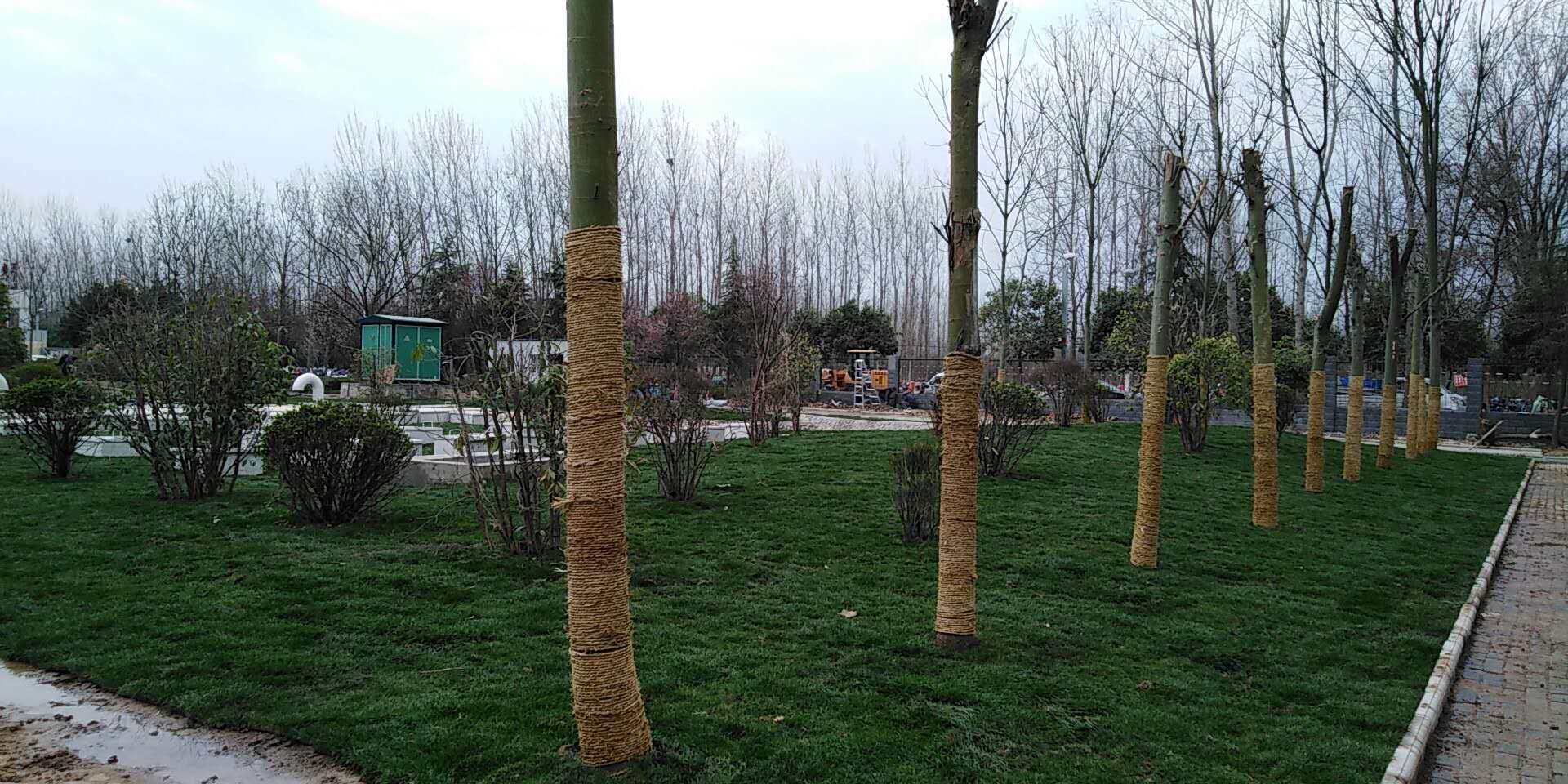 6、平輿縣一高地埋式污水處理2