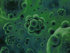 微生物是通過何種方式將廢水中的污染物分解去除掉的？